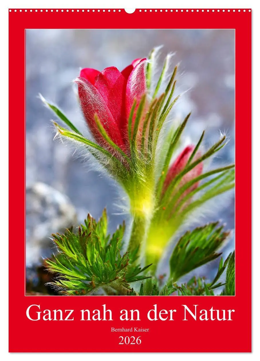 Cover: 9783516417333 | Ganz nah an der Natur (Wandkalender 2026 DIN A2 hoch), CALVENDO...